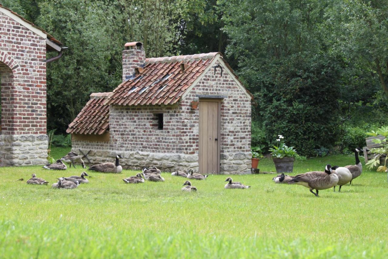 Apartamento Logies Tommenmolen Grimbergen Exterior foto